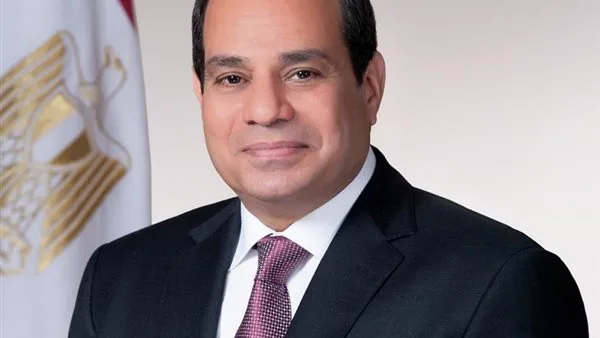 Proceeding Forward: President Sisi Directs the Launch of a Government Commercial Series in Partnership with the Private Sector