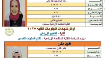 محافظة القليوبية تحتفل بتكريم الأوائل في الدبلومات الفنية