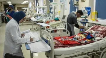 The Dialysis Unit in Shandweel Island: ‘Between the Achievements of the MP and the Candidate’s Initiative’ – How Citizen Health Became an Electoral Tool?