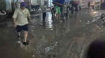 سقوط الأشجار و inundation in الشوارع: طقس سيئ يضرب قرى ميت غمر في الدقهلية