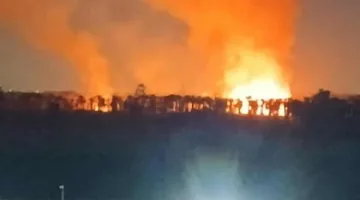 حريق ضخم يدمر 5 أفدنة من أشجار النخيل في القلج بالقليوبية