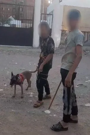 القبض على شخصين بتهمة التهجم باستخدام كلب وعصا خشبية في القليوبية القبض على شخصين بتهمة التهجم باستخدام كلب وعصا خشبية في القليوبية