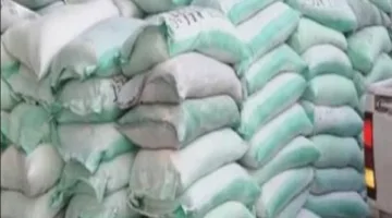 confiscation of 4 tons of subsidized flour in supply campaigns within 24 hours