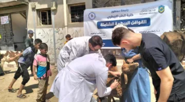 جامعة دمنهور تطلق حملة تنموية متكاملة في قرية القافلة بأبو حمص لتعزيز الصحة والتعليم والزراعة.