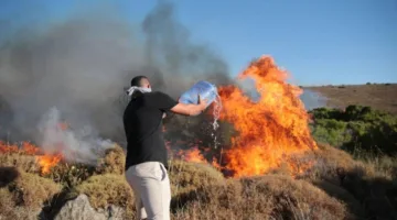 fatalities and evacuations: Devastating wildfires hit Turkey and Greece