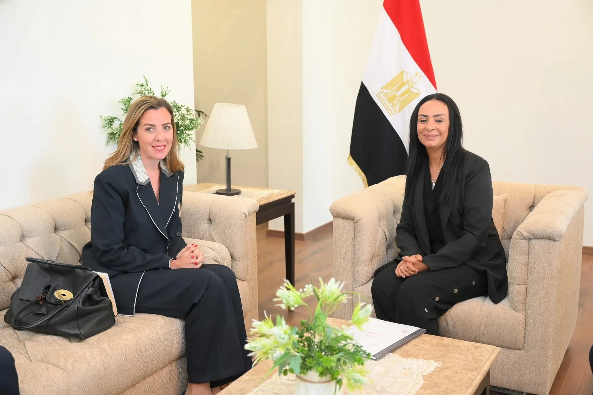 وزيرة التضامن الاجتماعي تجتمع بالمديرة التنفيذية لصندوق “قادرون باختلاف” وزيرة التضامن الاجتماعي تجتمع بالمديرة التنفيذية لصندوق “قادرون باختلاف”