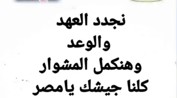 إحياء ذكرى ثورة 30 يونيو