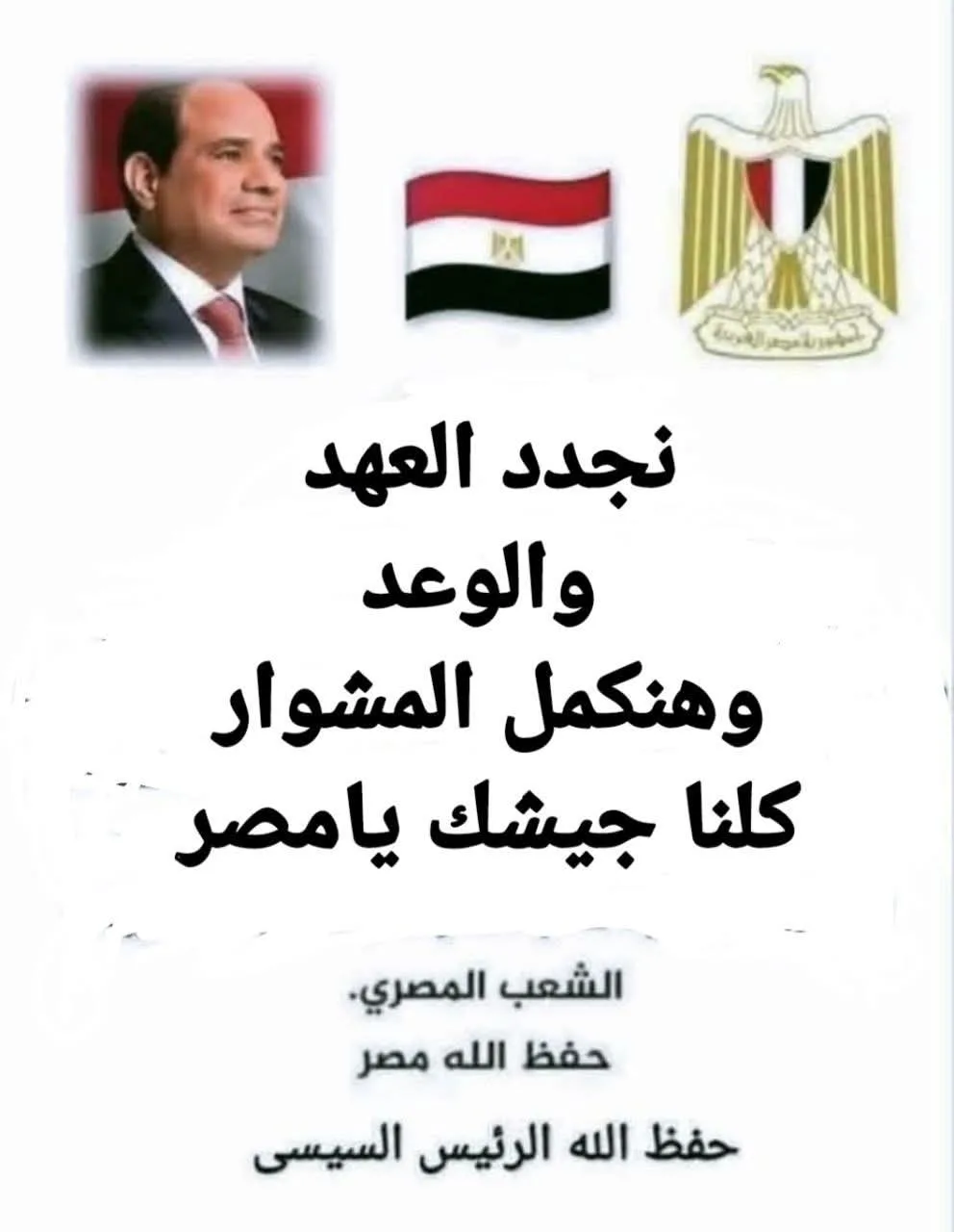 إحياء ذكرى ثورة 30 يونيو
