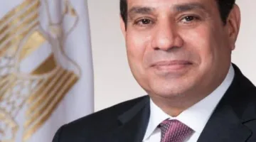 الرئيس السيسي يناقش مستجدات إنشاء سلاسل تجارية في العبور وقليوب