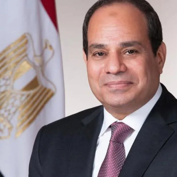 الرئيس السيسي يناقش مستجدات إنشاء سلاسل تجارية في العبور وقليوب