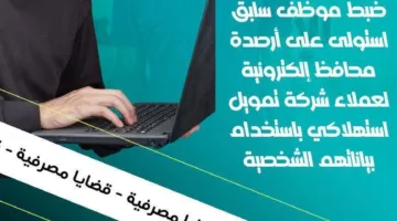 إلقاء القبض على موظف سابق بتهمة سرقة أرصدة محافظ إلكترونية لعملاء شركة التمويل الاستهلاكي
