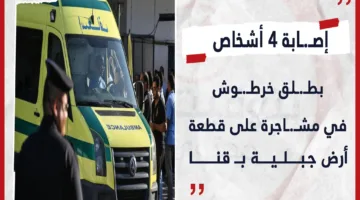 إصابة أربعة أفراد بأعيرة نارية إثر نزاع على أرض جبلية في قوص بجنوب قنا