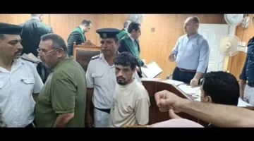 إصدار حكم بالسجن 15 عامًا على سائق التريللا و5 سنوات على المالك في قضية حادث المنوفية