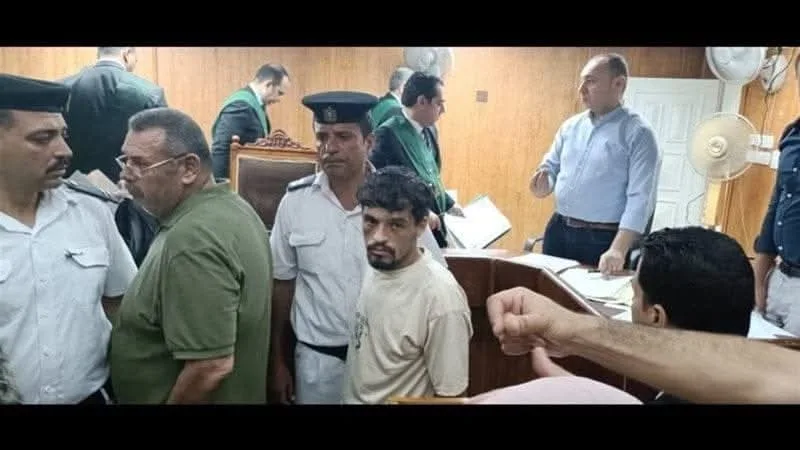 إصدار حكم بالسجن 15 عامًا على سائق التريللا و5 سنوات على المالك في قضية حادث المنوفية إصدار حكم بالسجن 15 عامًا على سائق التريللا و5 سنوات على المالك في قضية حادث المنوفية