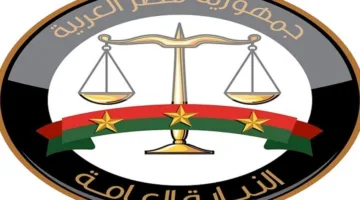 النيابة العامة تقرر إحالة 20 متهماً في قضية «FBC» إلى المحكمة الاقتصادية.