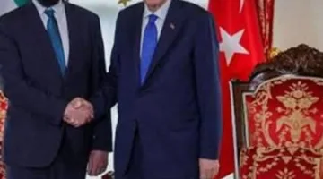 أردوغان لآحمد الشرع: الاعتداءات الإسرائيلية على سوريا مرفوضة وتعد خطرًا على المنطقة بأسرها.