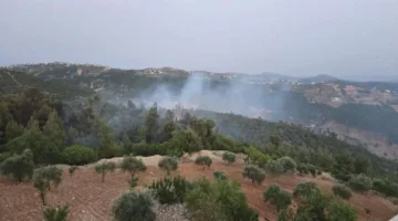 حريق يندلع في الغابات والأراضي الزراعية بمنطقة عنجرة في عجلون