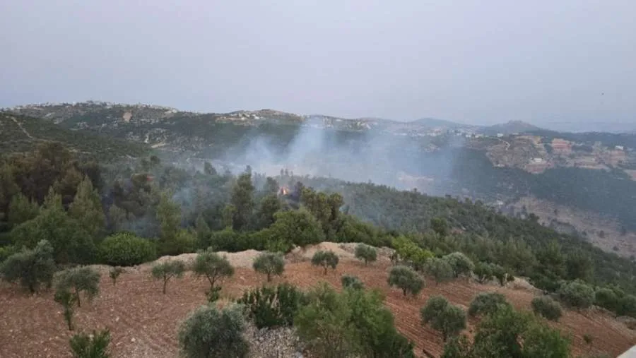 حريق يندلع في الغابات والأراضي الزراعية بمنطقة عنجرة في عجلون حريق يندلع في الغابات والأراضي الزراعية بمنطقة عنجرة في عجلون