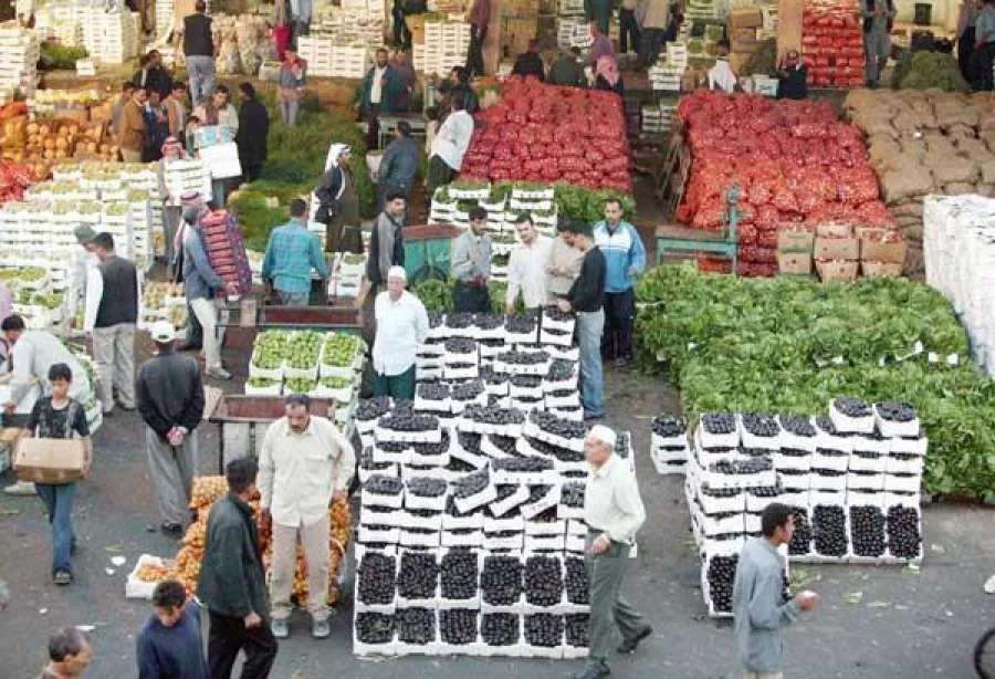 4042 طن من الخضروات والفواكه تصل إلى السوق المركزي اليوم السبت 4042 طن من الخضروات والفواكه تصل إلى السوق المركزي اليوم السبت