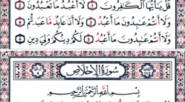 يُفضَّل قراءة سورتي الكافرون والإخلاص في سُنَّة الفجر والمغرب.
