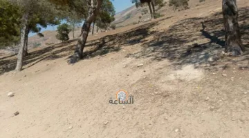 تحركت الجرافات بسرعة: محافظ جرش يتدخل لإزالة المخالفات في برما (فيديو وصور)