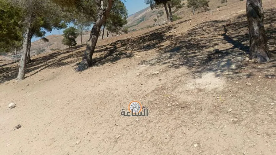 تحركت الجرافات بسرعة: محافظ جرش يتدخل لإزالة المخالفات في برما (فيديو وصور) تحركت الجرافات بسرعة: محافظ جرش يتدخل لإزالة المخالفات في برما (فيديو وصور)