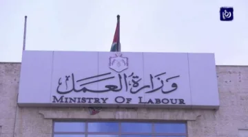 30 وظيفة متاحة للنساء في قطاع الحلويات بإربد.. اكتشفي التفاصيل