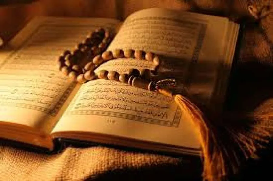 تدبروا القرآن؛ فسيكون شفيعاً لأهله يوم القيامة تدبروا القرآن؛ فسيكون شفيعاً لأهله يوم القيامة