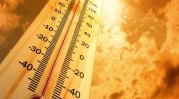 حقائق حول ضربات الشمس ووسائل الوقاية منها
