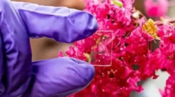 تطوير طلاء زجاجي للنوافذ يتحمل درجات الحرارة العالية والمنخفضة والأشعة فوق البنفسجية.