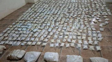 الجيش الأردني: تفعيل دوريات الاستجابة السريعة وتطبيق قواعد الاشتباك أدى إلى تراجعهم داخل الأراضي السورية.