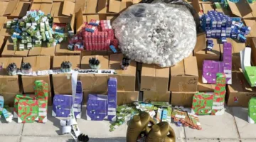 الجمارك confiscates 30,000 counterfeit smoking juice bottles (photos)
