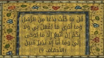 ولا أعلم ما سيحدث لي أو لكم