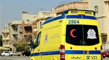 بعد فقدان خمسة أشقاء بسبب مرض غامض في مصر.. الوالدان يعانيان من نفس الأعراض