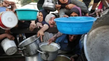 العجارمة تعبر عن أفكارها حول غزة
