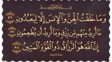 اعرف حقوقك، لكن هل تدرك حقوق الله تعالى عليك؟