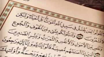 تحويل المصائب إلى تكفير للذنوب يشمل المطيع والعاصي