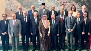 الصفدي: ظهور كارثة الفشل في تطبيق حل الدولتين بوضوح أمامنا