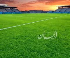 الثقافة الرياضية في الوطن العربي: سمات مميزة وتنوعات عالمية