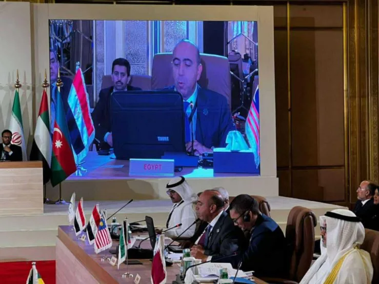 مصر تشارك في اجتماع فريق العمل لمنظمة التعاون الإسلامي بشأن الصومال