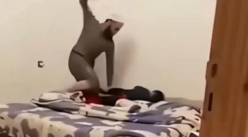 أب يتعرض لابنه بالضرب الوحشي في الجزائر بسبب قطة (فيديو)