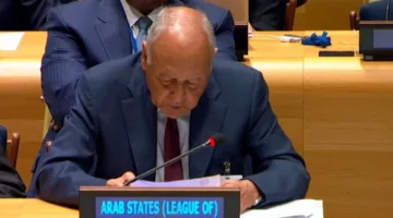 أبو الغيط: اقتراح حل الدولتين تم تقديمه منذ 23 عامًا دون استجابة من إسرائيل