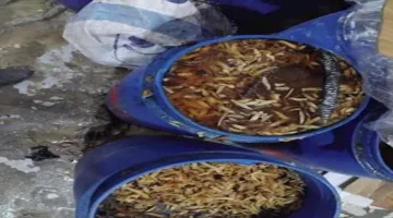 أزمة صحية في قويسنا.. ضبط منشأة مخالفة تقوم بإنتاج بطاطس باستخدام زيوت غير صالحة – صور