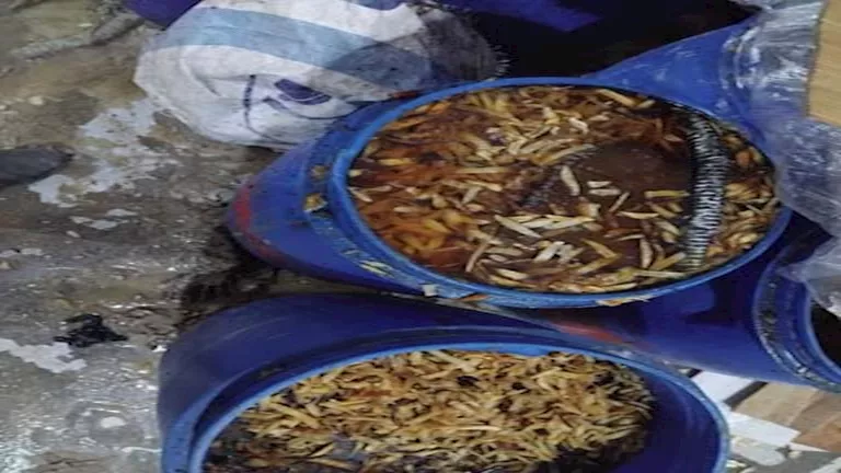 أزمة صحية في قويسنا.. ضبط منشأة مخالفة تقوم بإنتاج بطاطس باستخدام زيوت غير صالحة – صور أزمة صحية في قويسنا.. ضبط منشأة مخالفة تقوم بإنتاج بطاطس باستخدام زيوت غير صالحة – صور