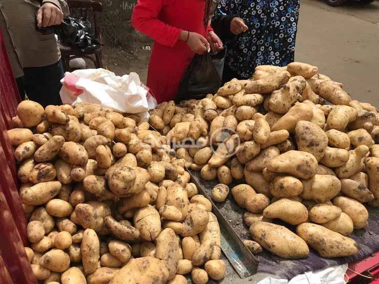 أسعار الخضراوات والفواكه في سوق العبور بتاريخ 27 يوليو 2025 أسعار الخضراوات والفواكه في سوق العبور بتاريخ 27 يوليو 2025