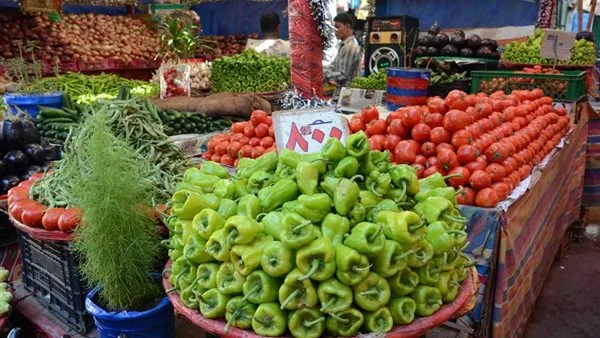 أسعار الخضروات والفواكه في مصر اليوم الثلاثاء 22 يوليو 2025: جميع التفاصيل أسعار الخضروات والفواكه في مصر اليوم الثلاثاء 22 يوليو 2025: جميع التفاصيل