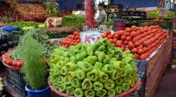 أسعار الخضروات والفواكه في مصر يوم الخميس 17 يوليو 2025: ما هو سعر البطاطس؟