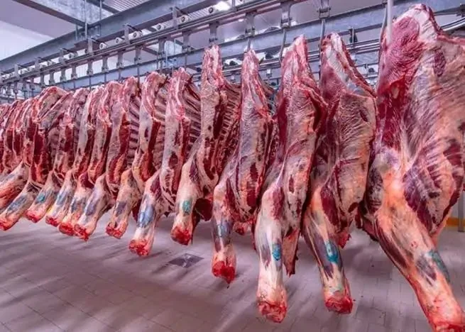 أسعار اللحوم في مصر اليوم الجمعة 11-7-2025.. كم تبلغ أسعار اللحوم البلدية؟