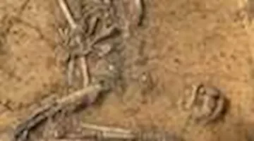 أقدم حقيبة يد في التاريخ تعود لـ4500 عام ومزينة بأسنان الكلاب.