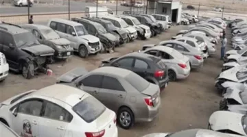 أقل الأسعار… معلومات حول مزاد بيع سيارات الجمارك ومعدات متنوعة في 31 يوليو 2025